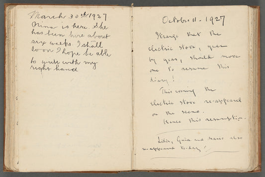 Diary entries