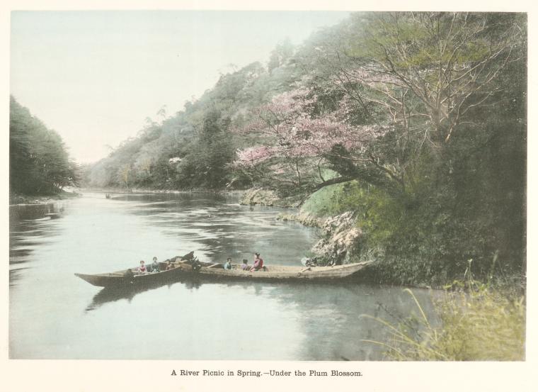 A River Picnic in Spring. - Under the Plum Blossom.