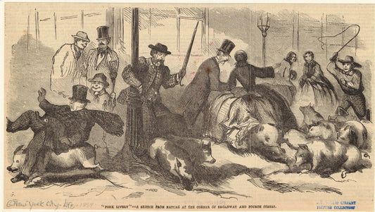 "Pork lively" - a sketch from nature at the corner of Broadway and Fourth Street