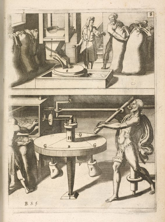 Fig. VIII. Chiromylos, frumentarius.