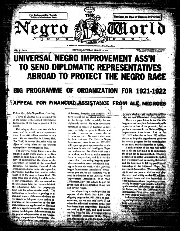 The Negro world