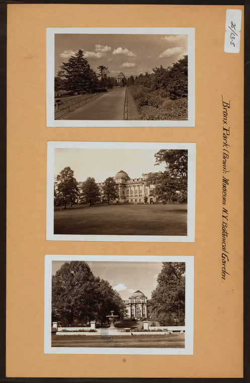 Bronx: Bronx Park - Museum, N.Y. Botanical Garden.
