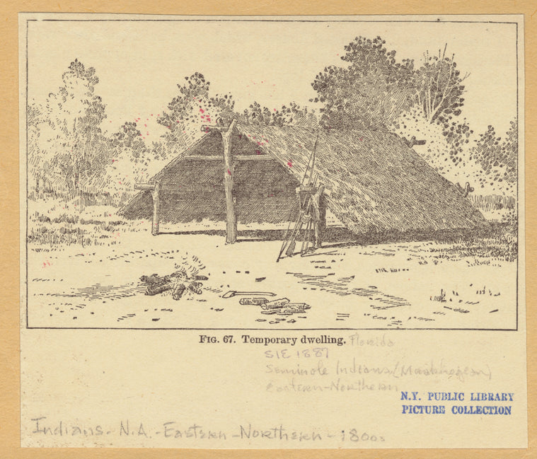 Temporary dwelling of Seminole Indians (Muskhogean), Florida, 19th century