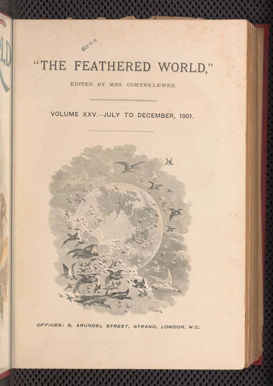 The Feathered world.
