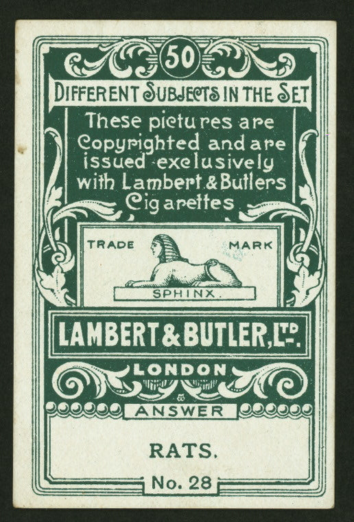 Turn a star around and what do you get?