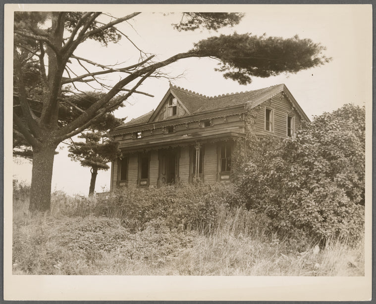 Abandoned house on land use project. Tompkins County, New York