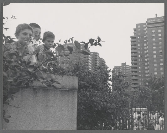 Boys at the East River Park Amphitheatre prior to a New York Shakespeare Festival production of The Taming of the Shrew