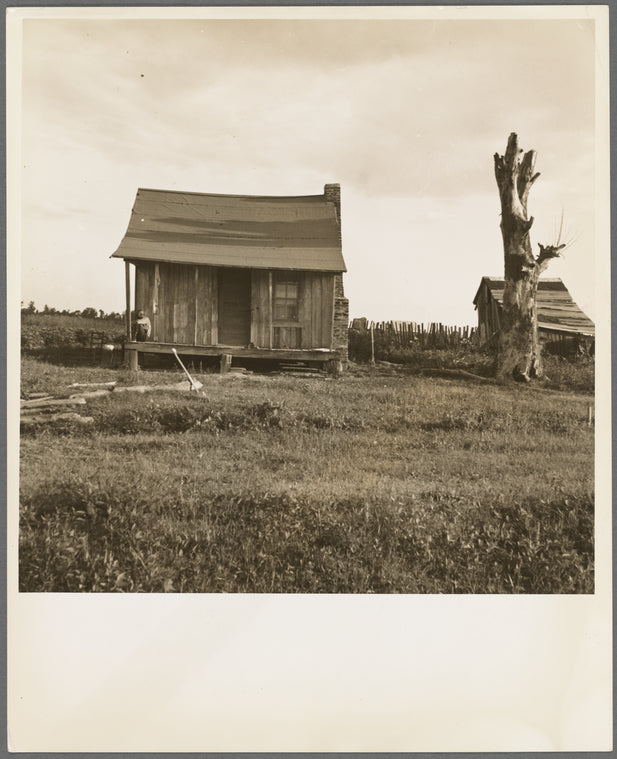 Plantation cabin of sharecropper. Washington County, Mississippi