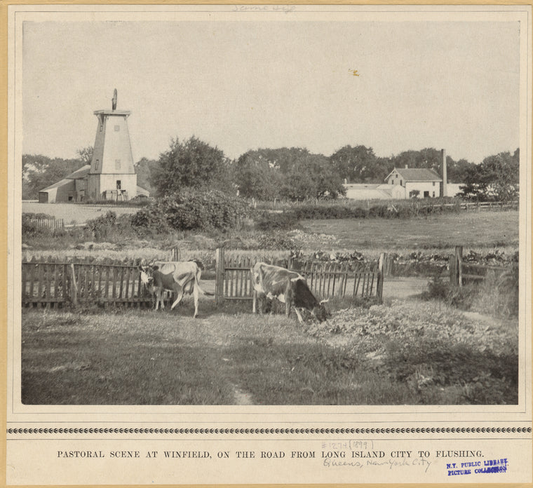 Pastoral scene at Winfield, on the road from Long Island City to Flushing