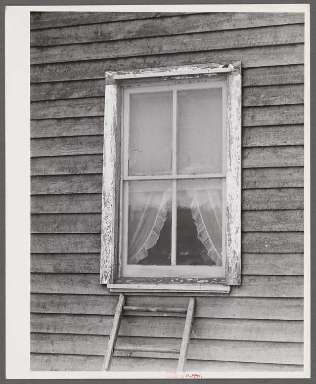 Window frame with screen supplied. The top strip has been nailed in place. The screen is then stretched and fastened at the sill. Screening demonstration. Charles County, La Plata, Maryland.