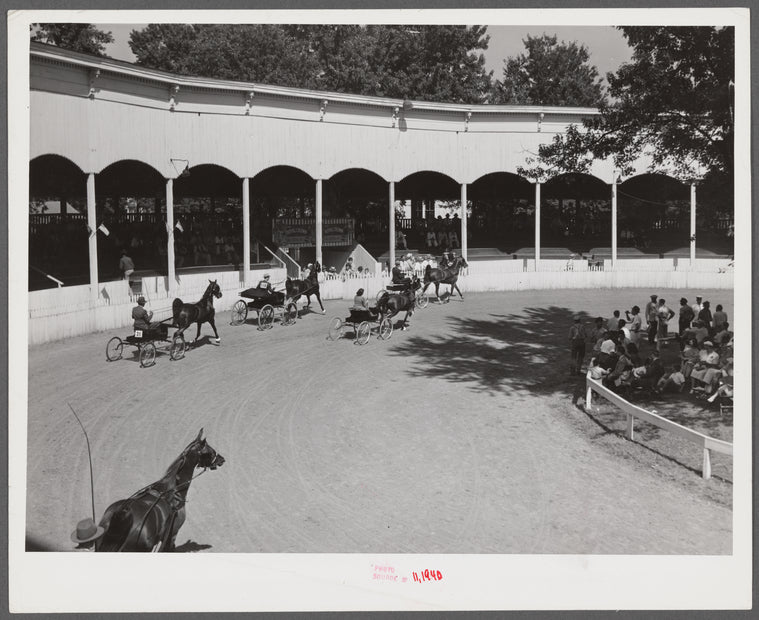 Horse show at Shelby County fair. Shelbyville, Kentucky.