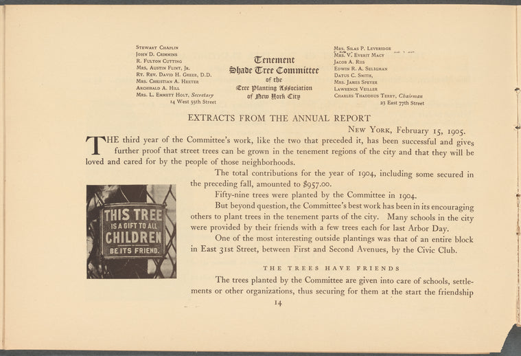 Extracts from the annual report: The trees have friends