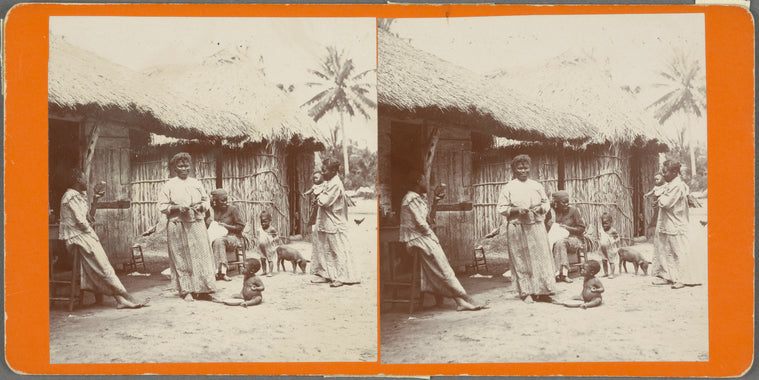 Country Scene near Rio Piedras, Porto Rico
