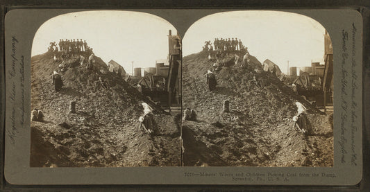 Miners' wives and children picking coal from the dump, Scranton, Pa., U.S.A.