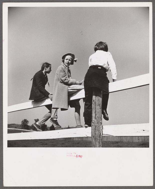 Spectators at horse races. Warrenton, Virginia.
