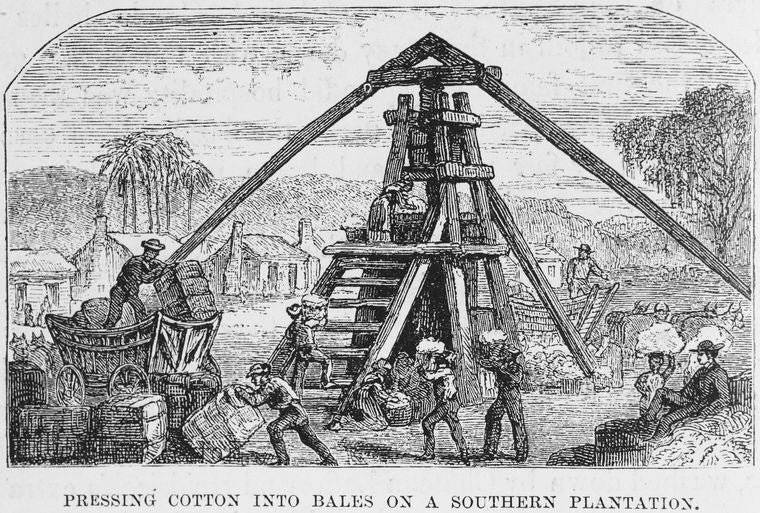 Pressing cotton into bales on a southern plantation.