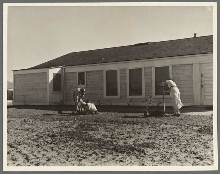 San Fernando federal subsistence homesteads. Forty homes, all occupied, each with nearly an acre of ground. Average income eight hundred dollars yearly. California