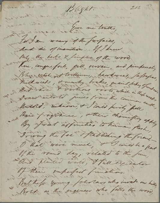 "Blight." Holograph poem, unsigned, undated
