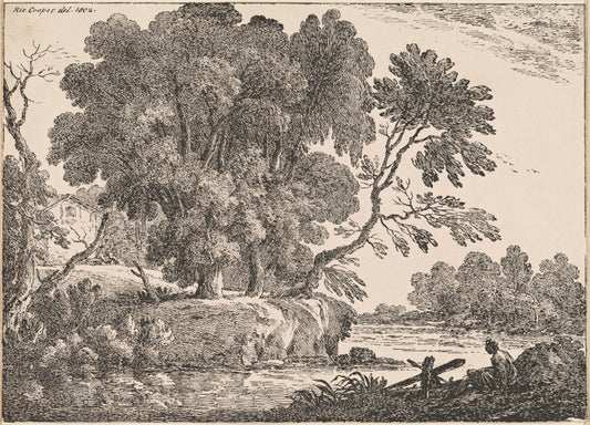 Ruined abbey among trees