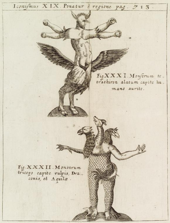 Iconismus XIX. Ponatur è regione. Fig. XXXI. Monstrum tetrachiron alatum capite humano aurito; Fig. XXXII. Monstrum triceps capite vulpis, Draconis, et Aquilœ.