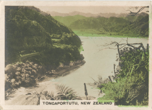 Tongaportutu, New Zealand.