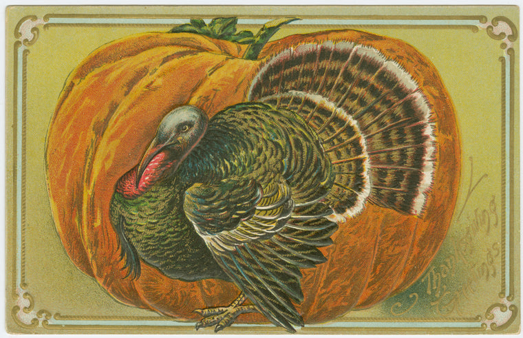 Thanksgiving greetings.