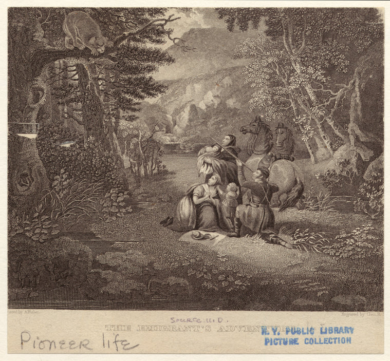 The emigrant's adventure