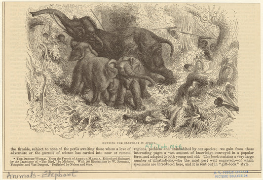 Hunting the elephant in Africa