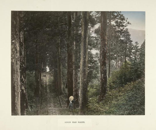 Gongen Road Hakone