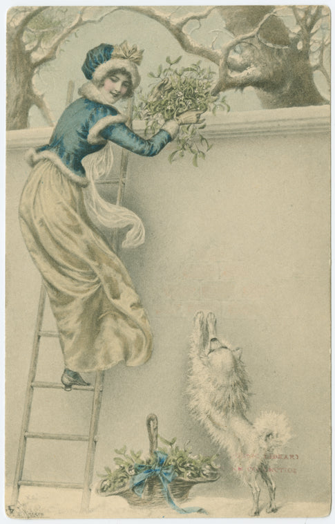 Woman on ladder collecting mistletoe.