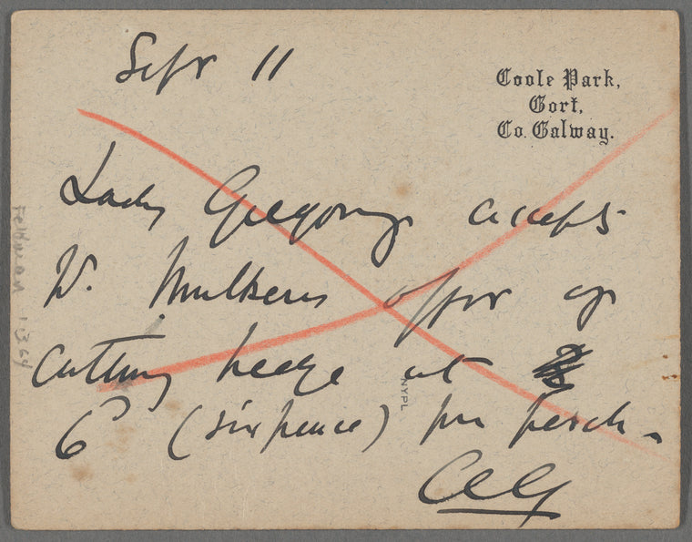 "What should I do?" : Holograph notes