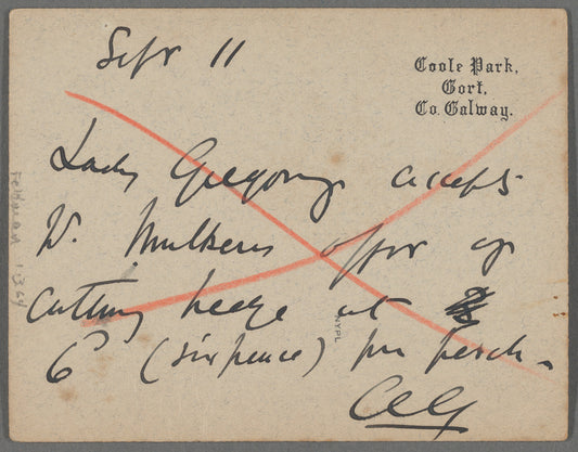"What should I do?" : Holograph notes