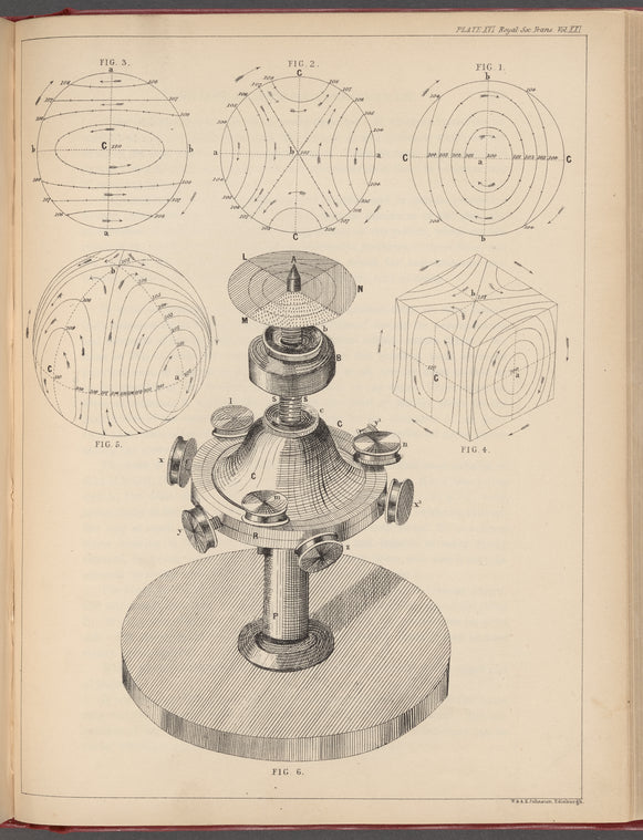 Professor Maxwell on a dynamical top