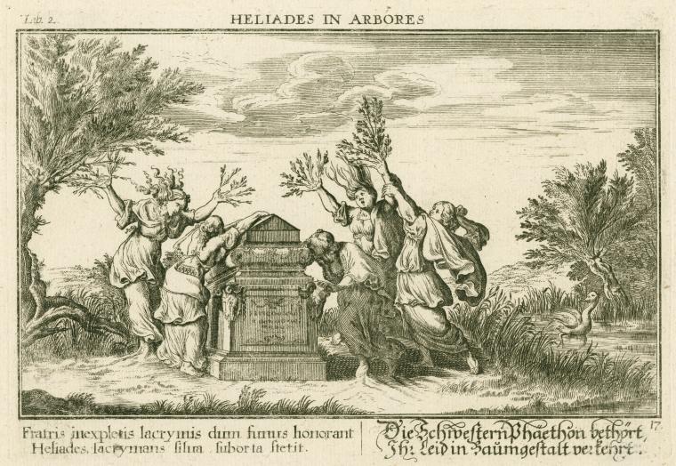 Heliades in arbores