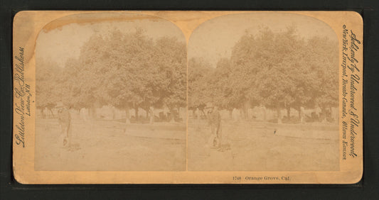 Orange grove, Cal.