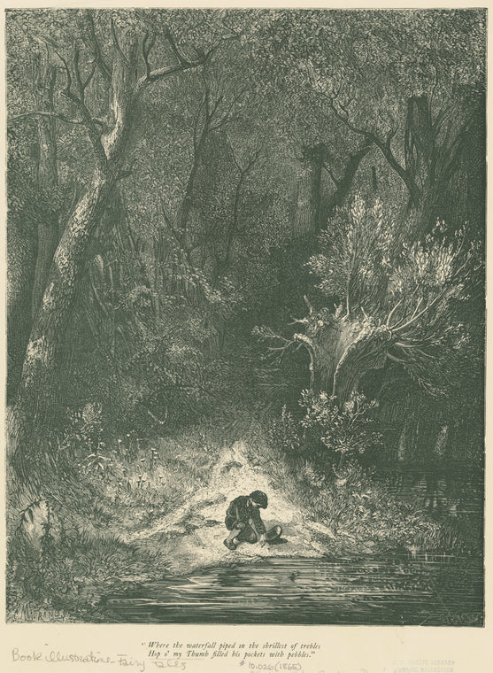 Where the waterfall piped in the shrillest of trebles