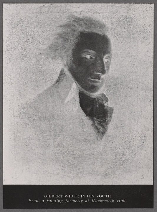Gilbert White in his youth. From a painting formerly at Knebworth Hall.