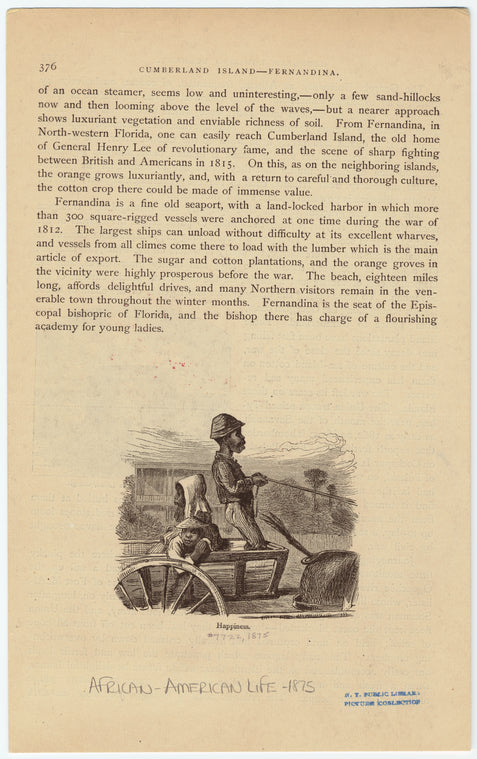 Children riding in a horsedrawn cart, United States, 1870s