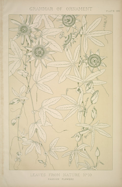 Leaves and Flowers from Nature Ornament no. 10: Passion flowers.