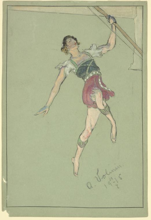 A. Volinin