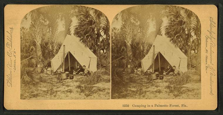 Camping in Palmetto Forest, Florida.