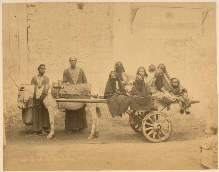 Charette des femme-arabes