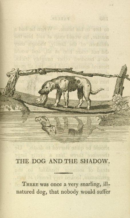 The dog and the shadow