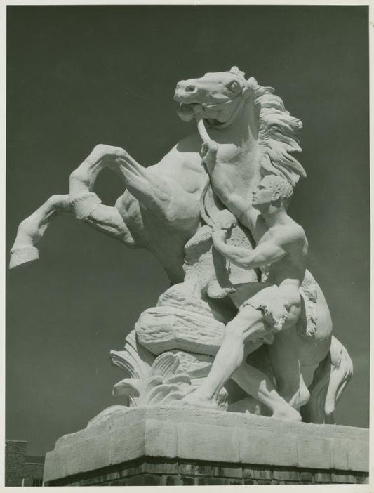 Man holding the bridle of a horse on its hind legs