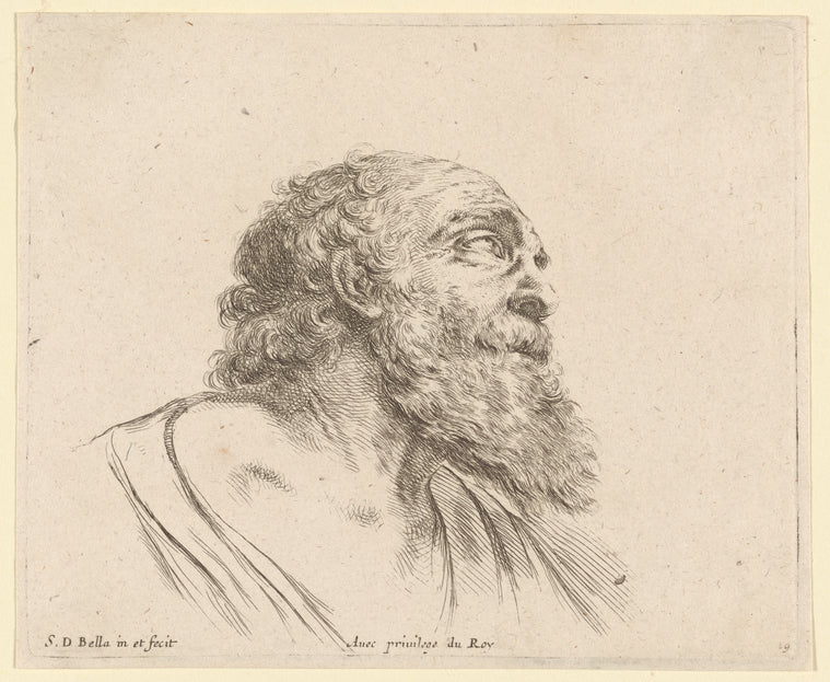 Tête de vieillard avec grande barbe