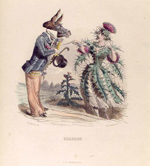 Chardon. [Thistle]