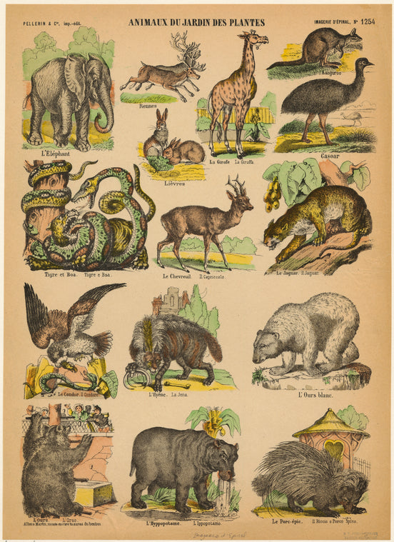 Animaux du jardin des plantes