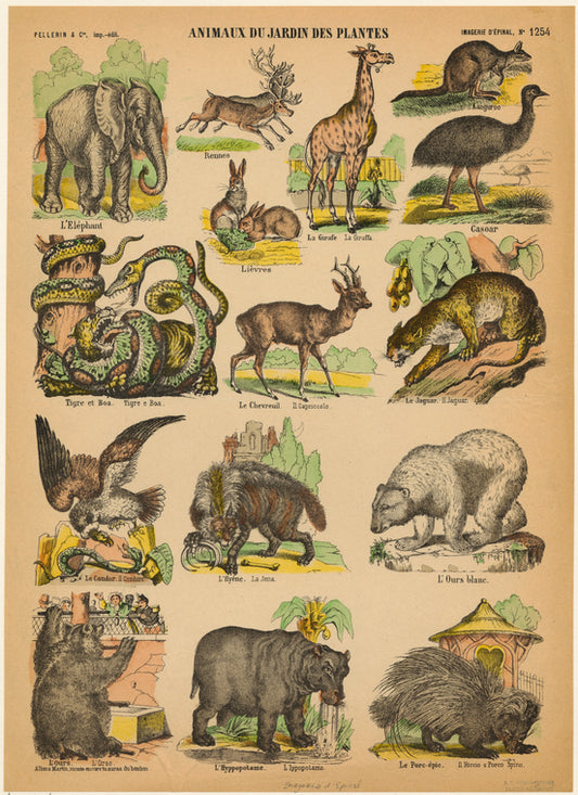 Animaux du jardin des plantes