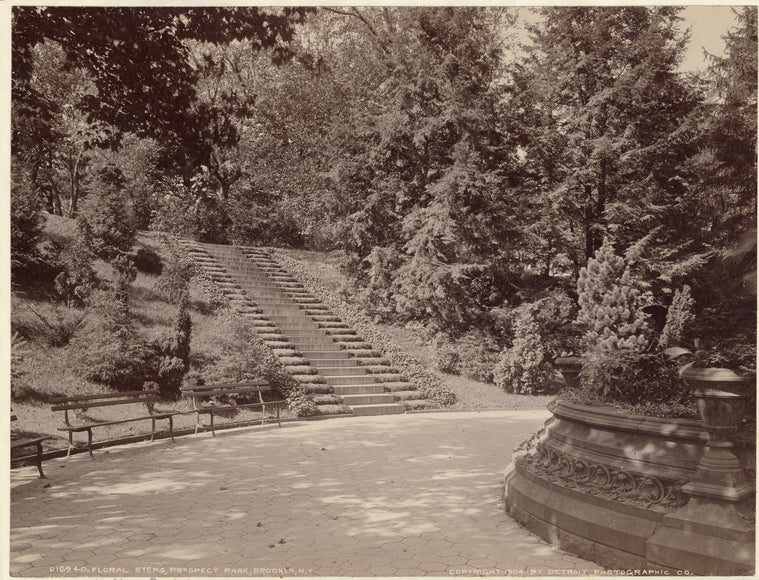 Floral steps, Prospect Park, Brooklyn, N.Y.