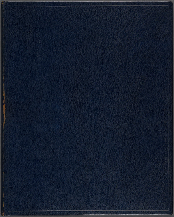 Alexander Hamilton plan of a constitution for America